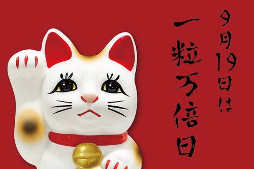 9月19日は一粒万倍日!福を呼ぶ縁起物