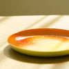 山中塗 iroikoi 5.0 丸皿 鶴仙渓