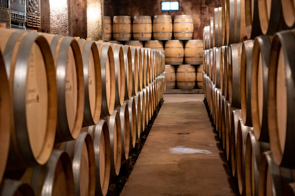 毎月20日はワインの日―冬の夜に楽しむ芳醇な時間