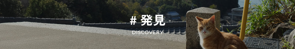 #発見